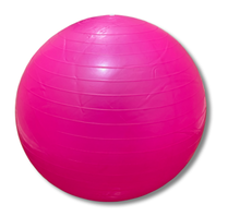 Load image into Gallery viewer, Exercise Ball
